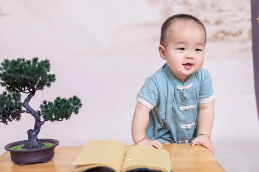 常宁可爱的企鹅宝宝